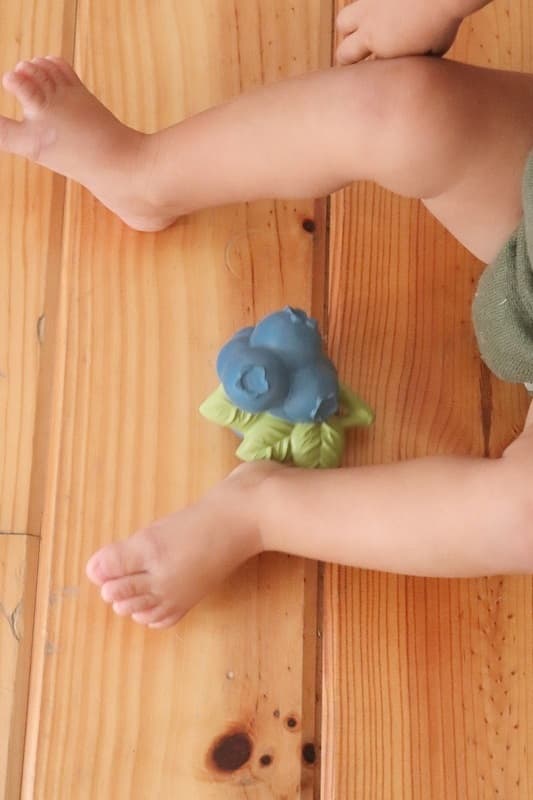 Jerry the Blueberry, прорезыватель для зубов