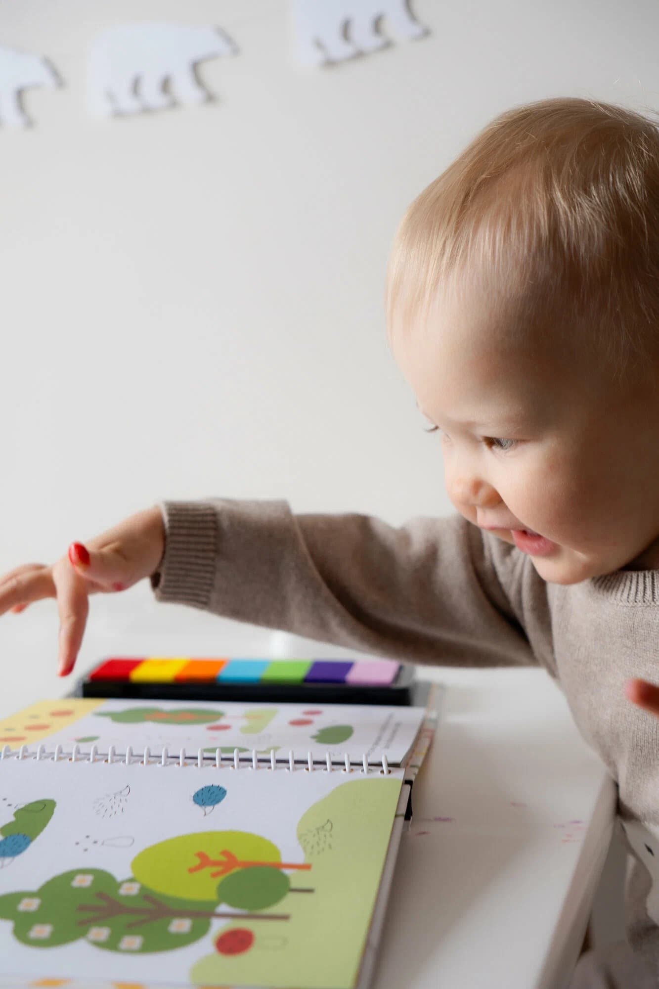 Книга-раскраска "Сад и огород"