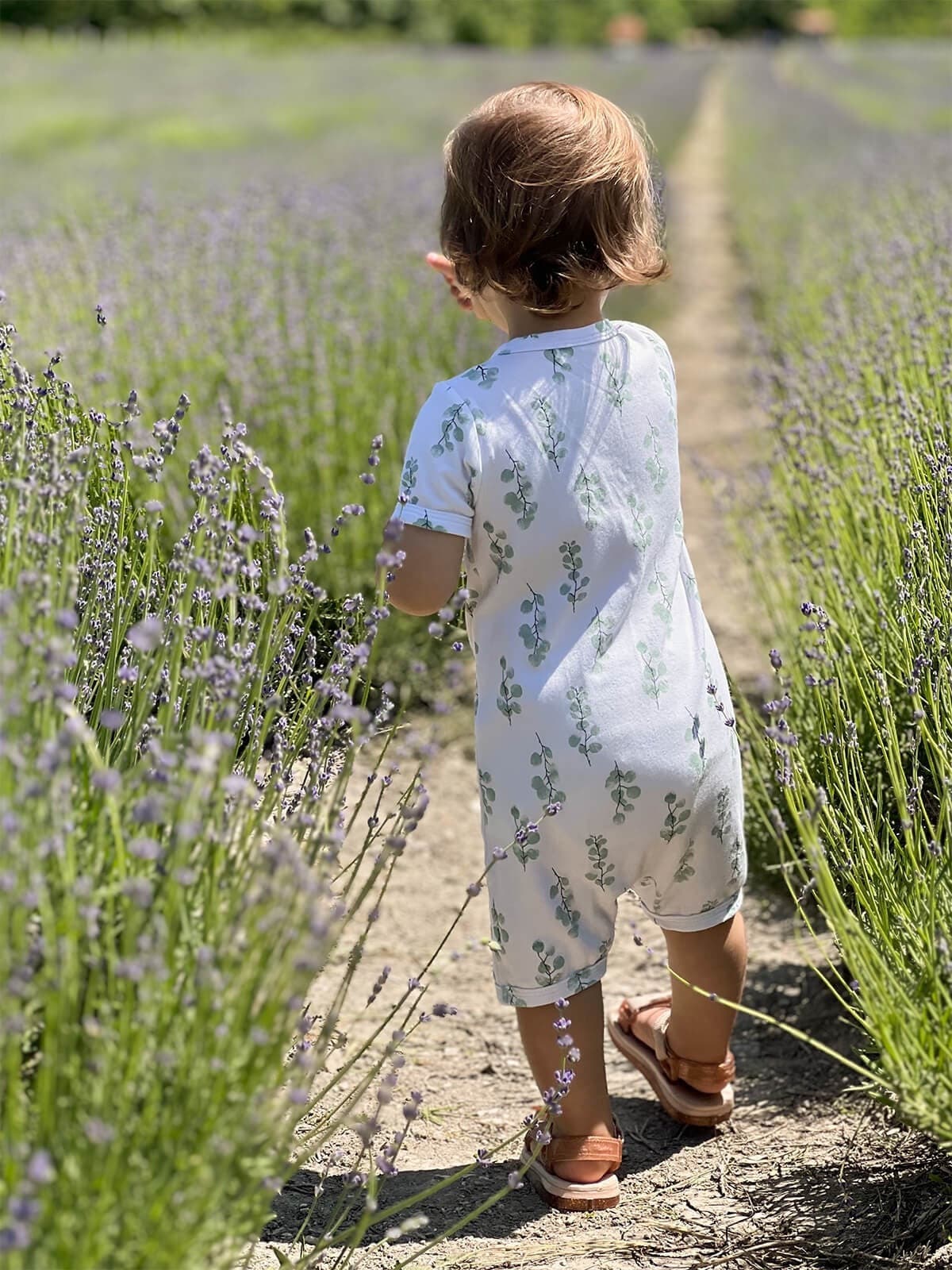 Песочник Mjolk Sleep and Play Эвкалипт