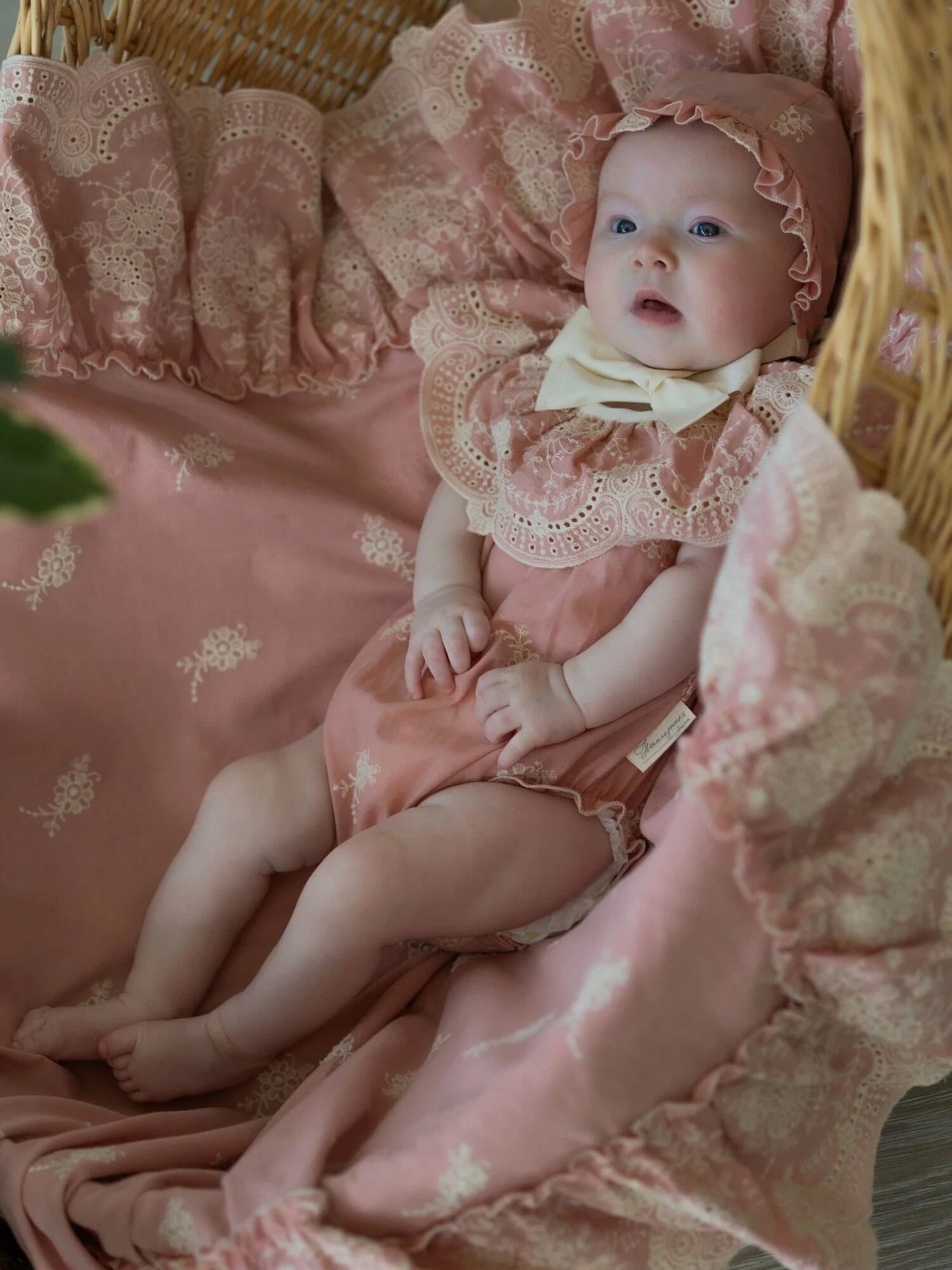 Боди, Азалия