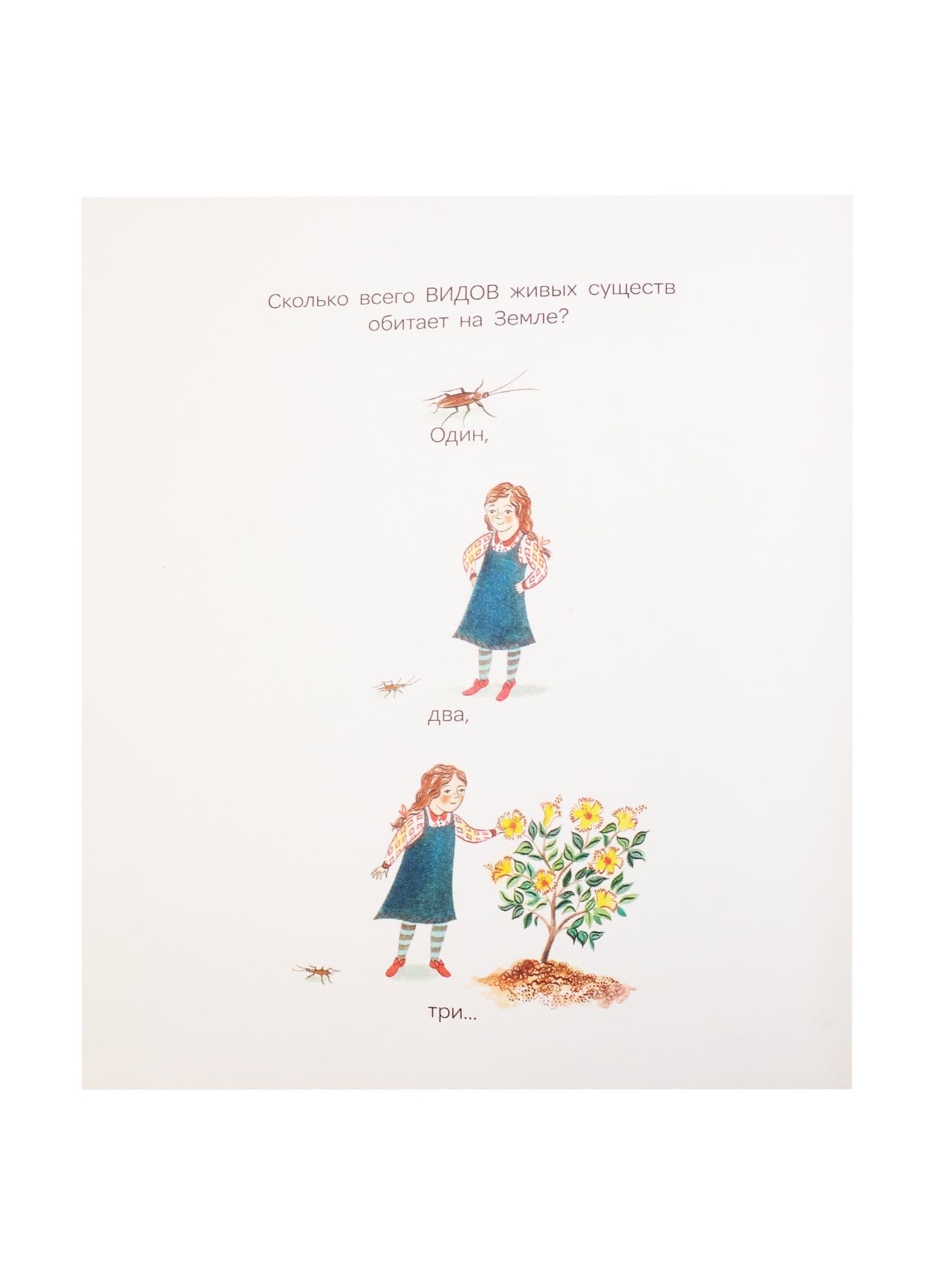 Многообразие жизни на Земле. Энциĸлопедия для детей