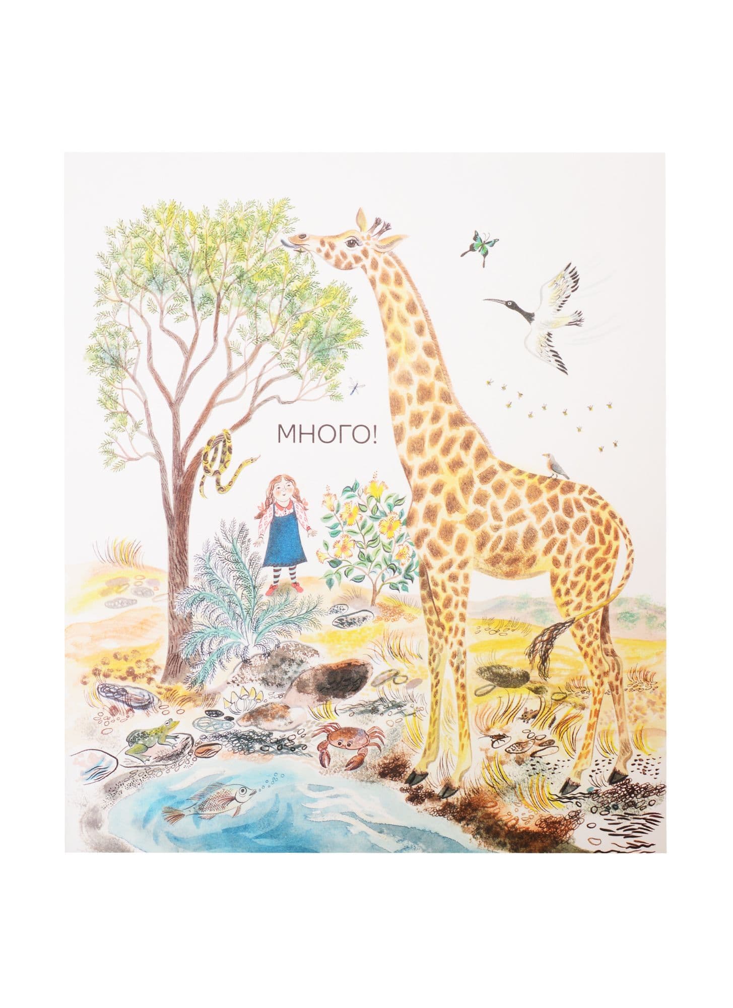 Многообразие жизни на Земле. Энциĸлопедия для детей