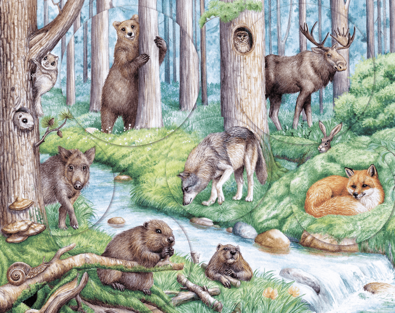 Лото двустороннее для малышей