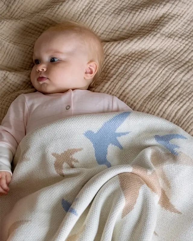 Плед вязаный из 100% хлопка Ласточки, Экрю