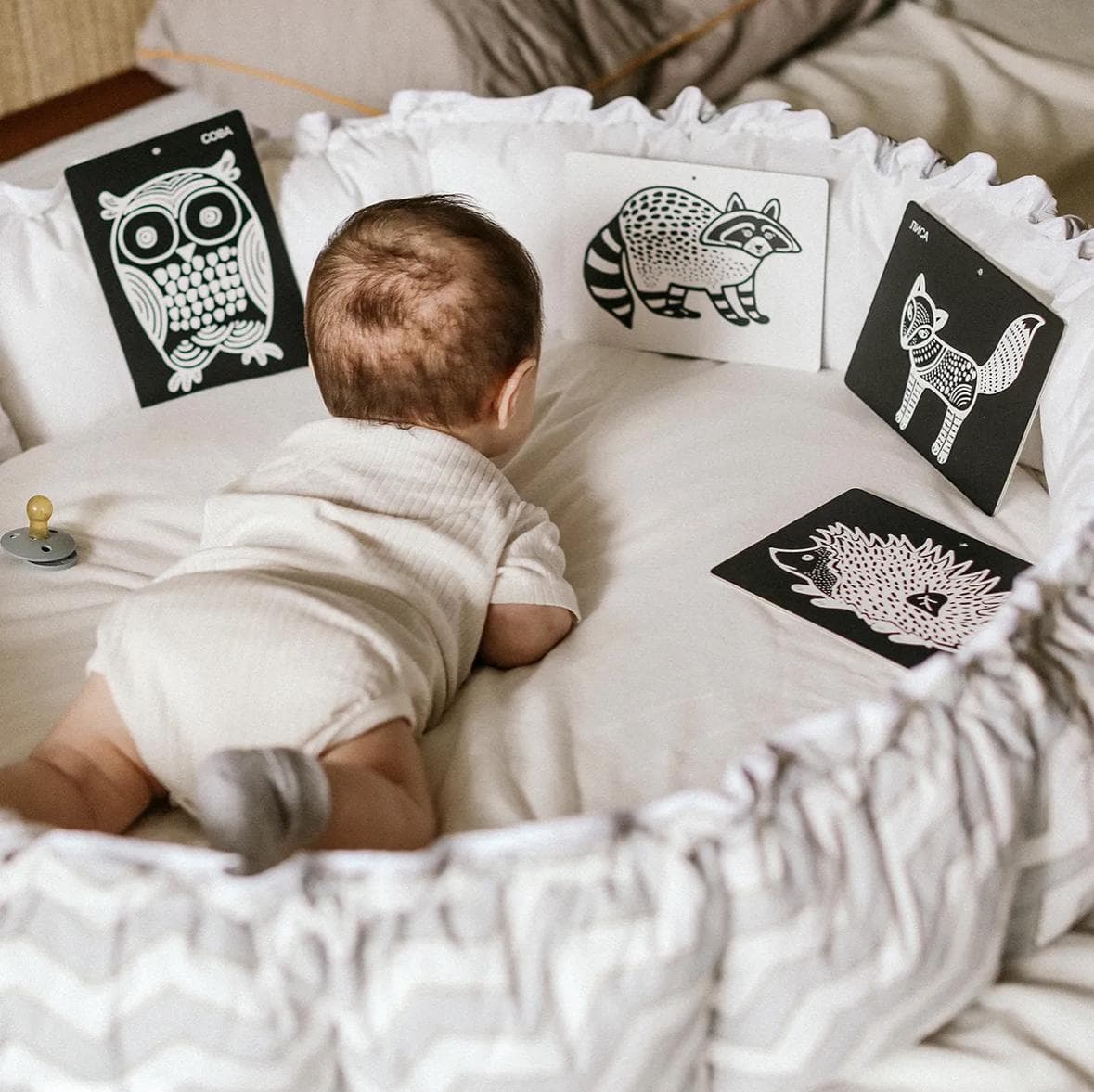 Карточки для детей "Лес"