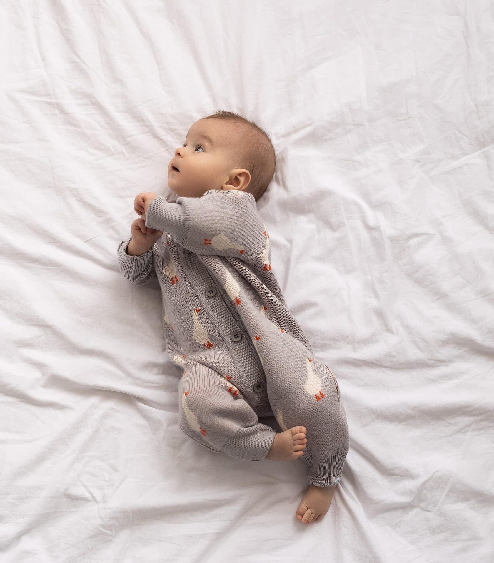 Комбинезон вязаный, Гуси