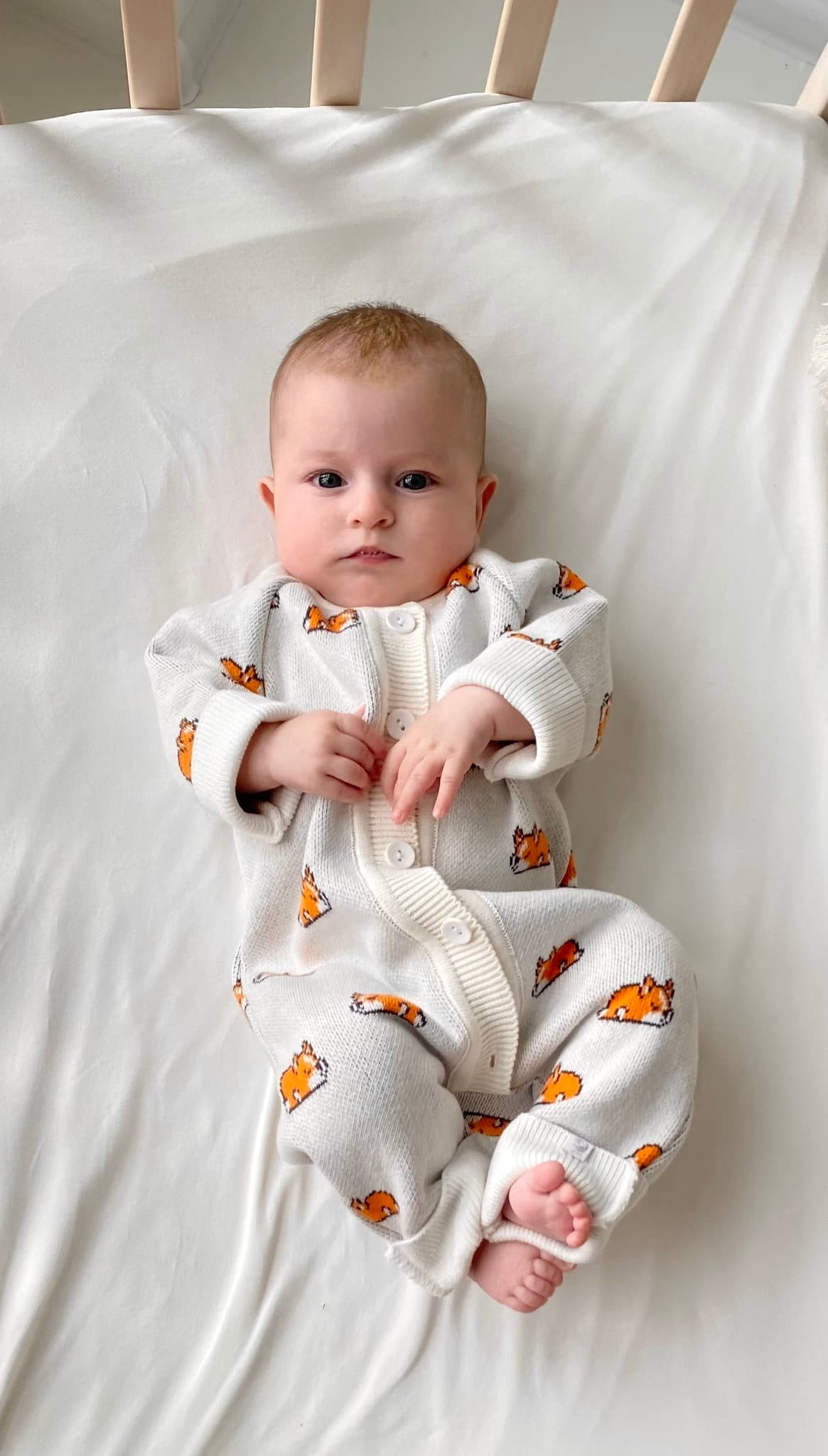 Комбинезон вязаный, Корги