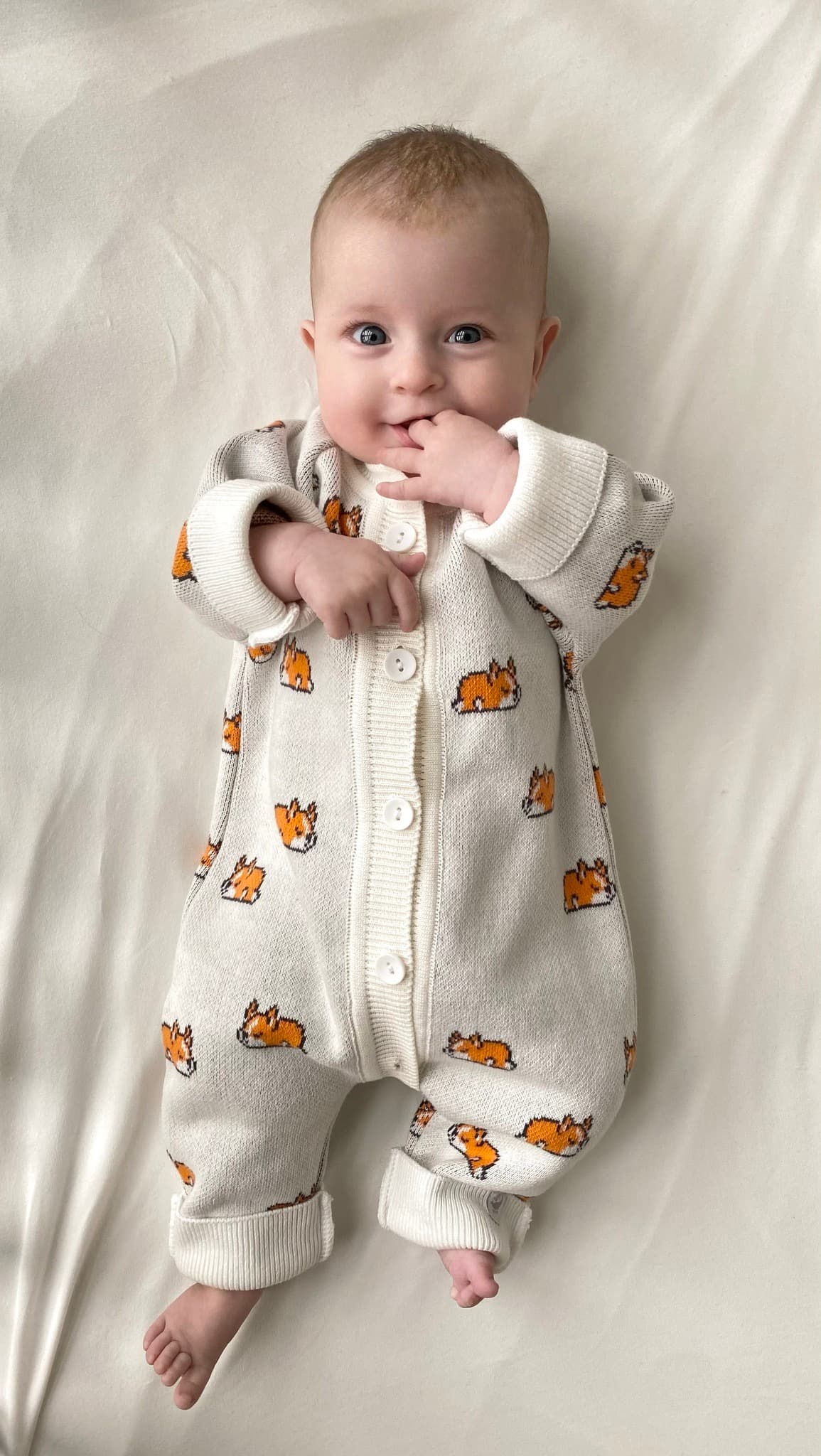 Комбинезон вязаный, Корги