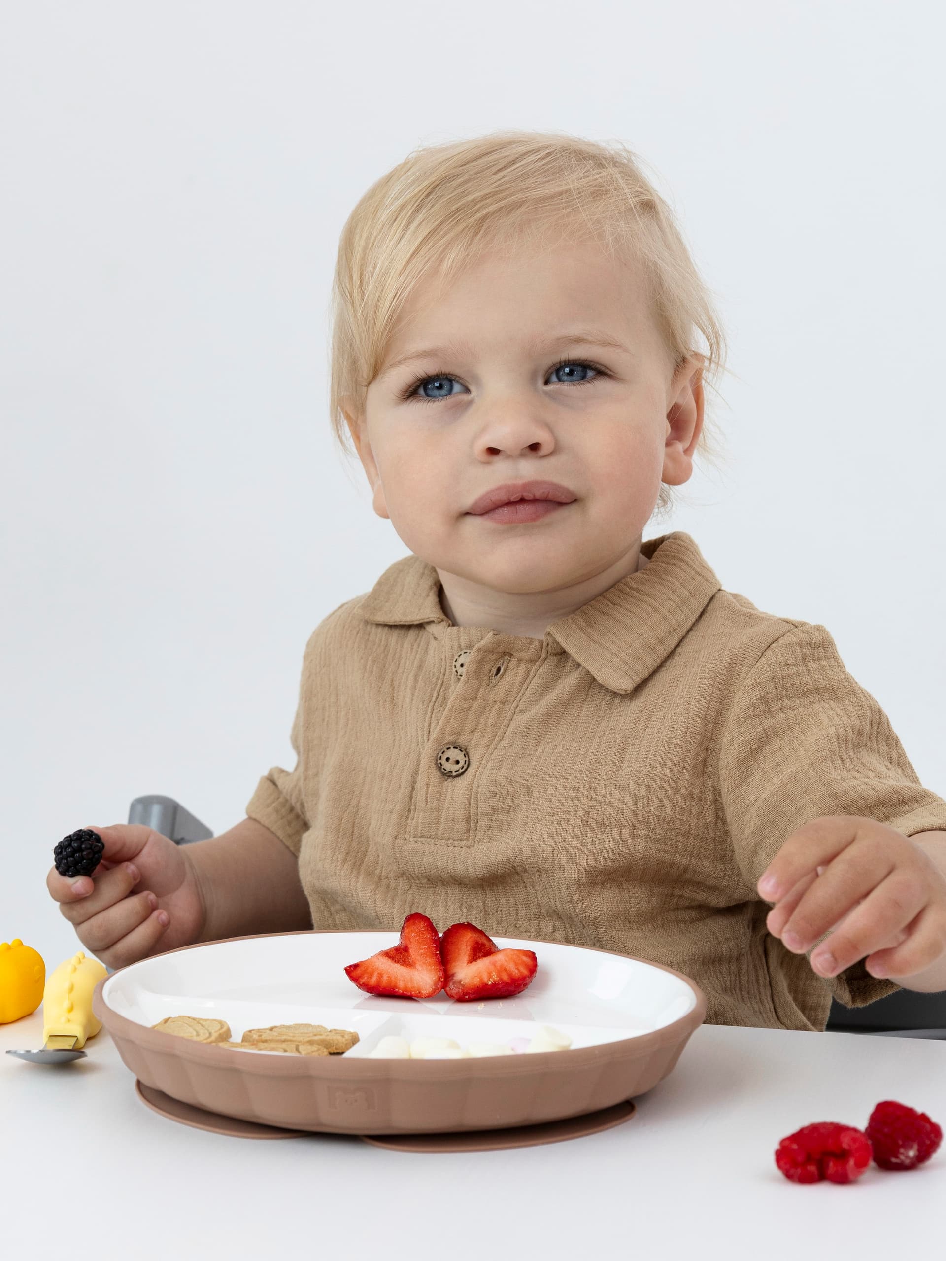 Фарфоровая тарелка секционная на силиконовой присоске, Hazelnut