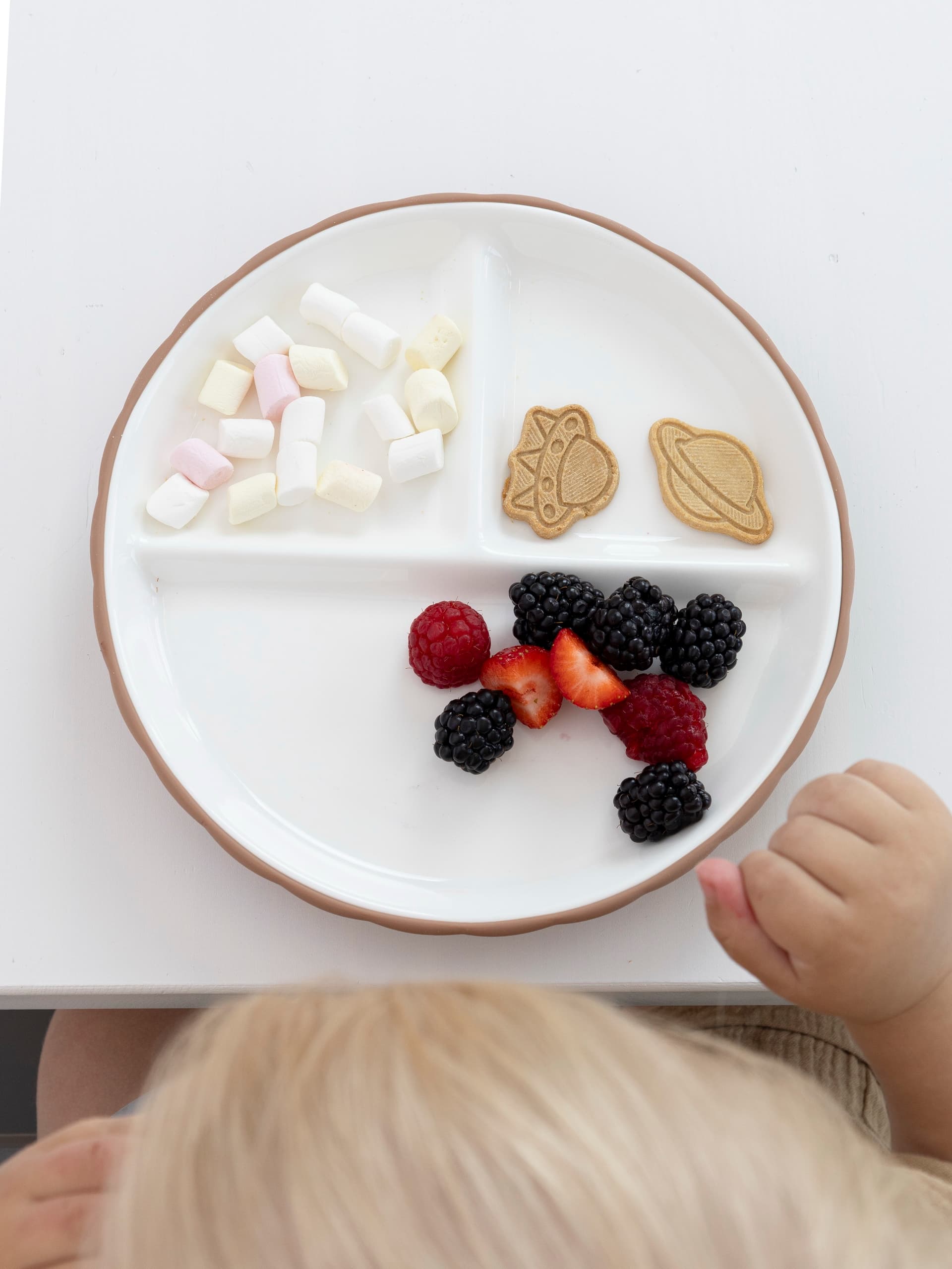 Фарфоровая тарелка секционная на силиконовой присоске, Hazelnut