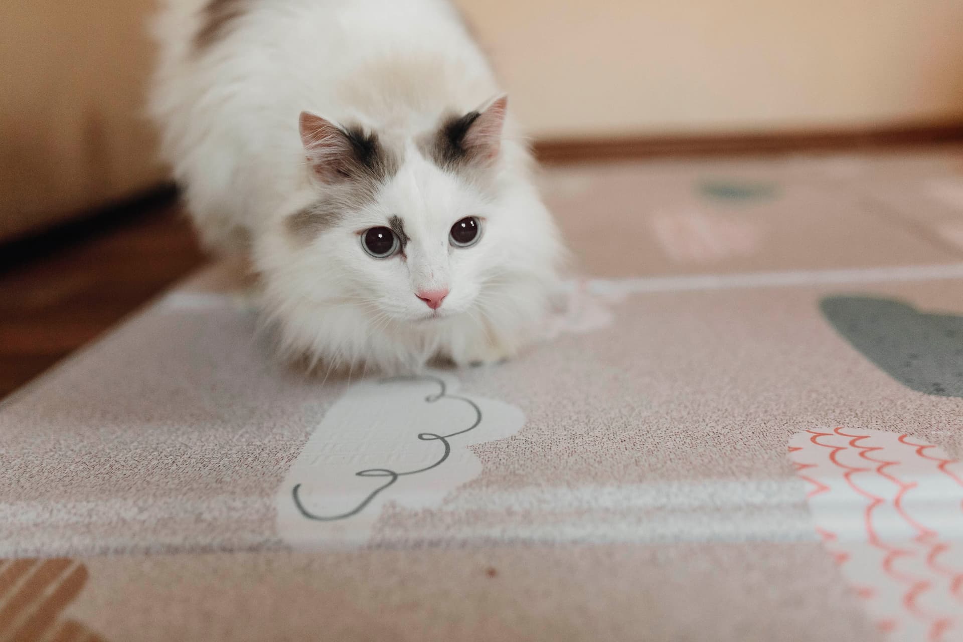 Складной коврик Sillky Portable 140x200x1 см, Облачка