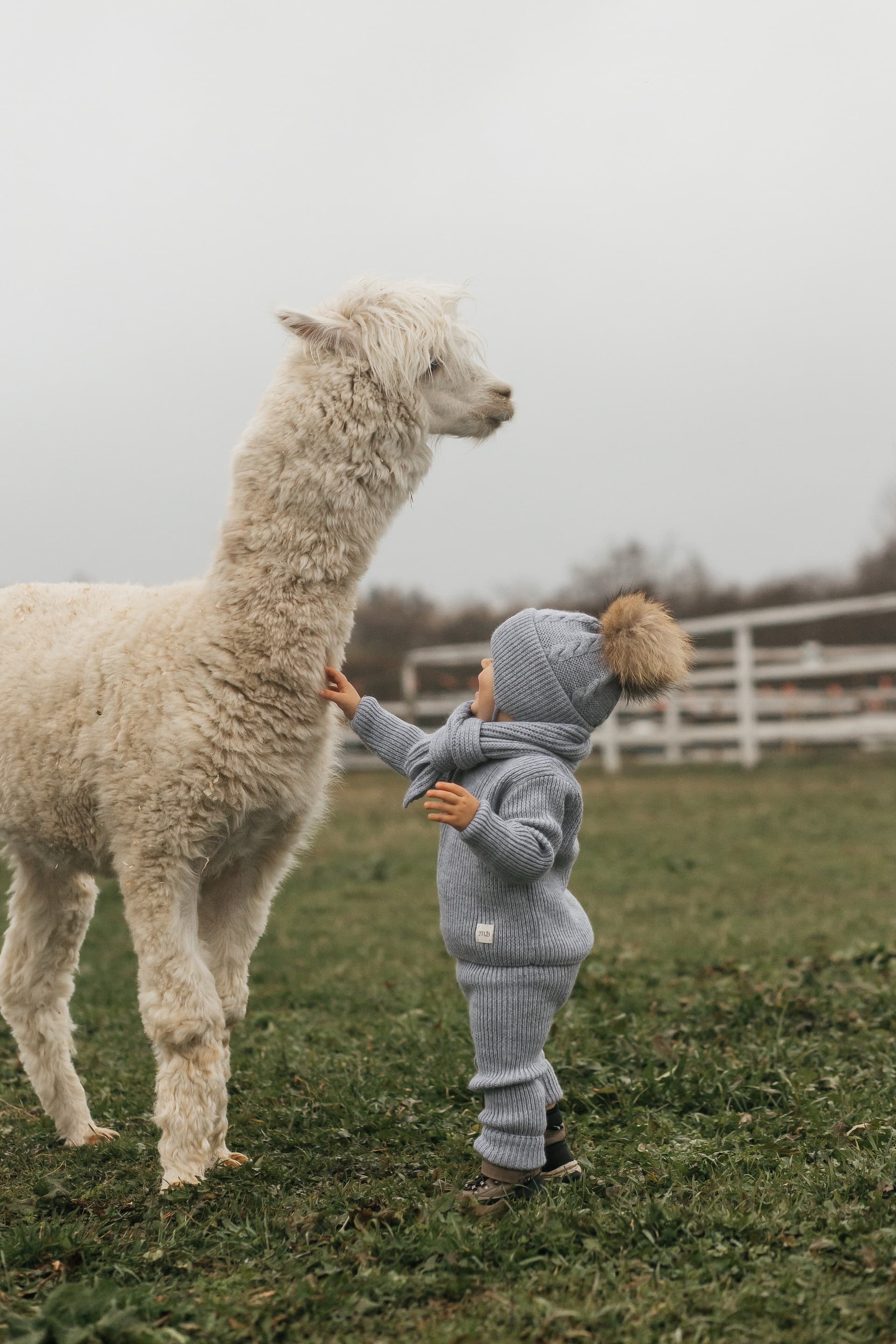 Костюм классический из меринос-кашемира, Серый