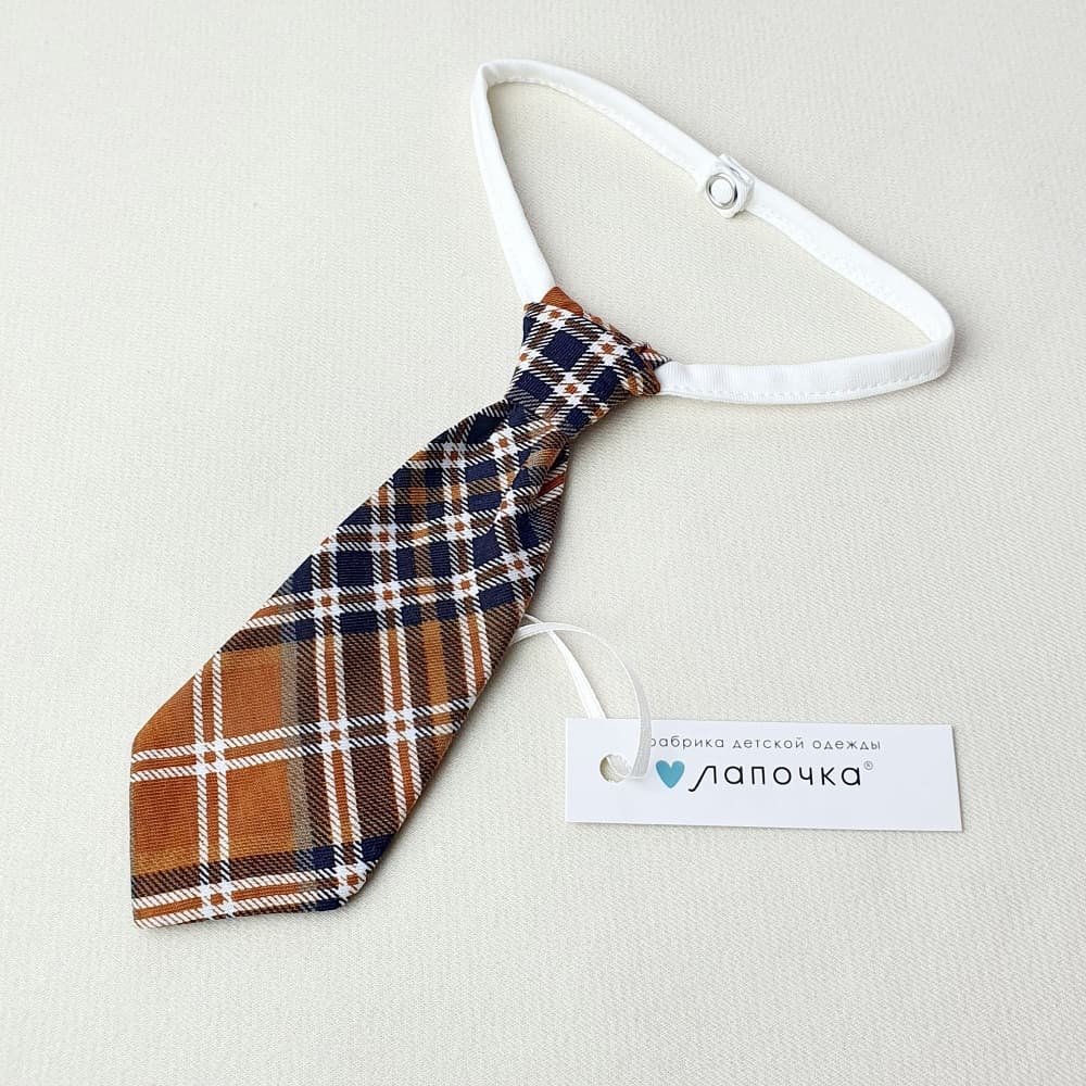 Галстук, Бежевый/клетка